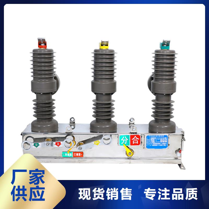 真空断路器高低压电器讲信誉保质量