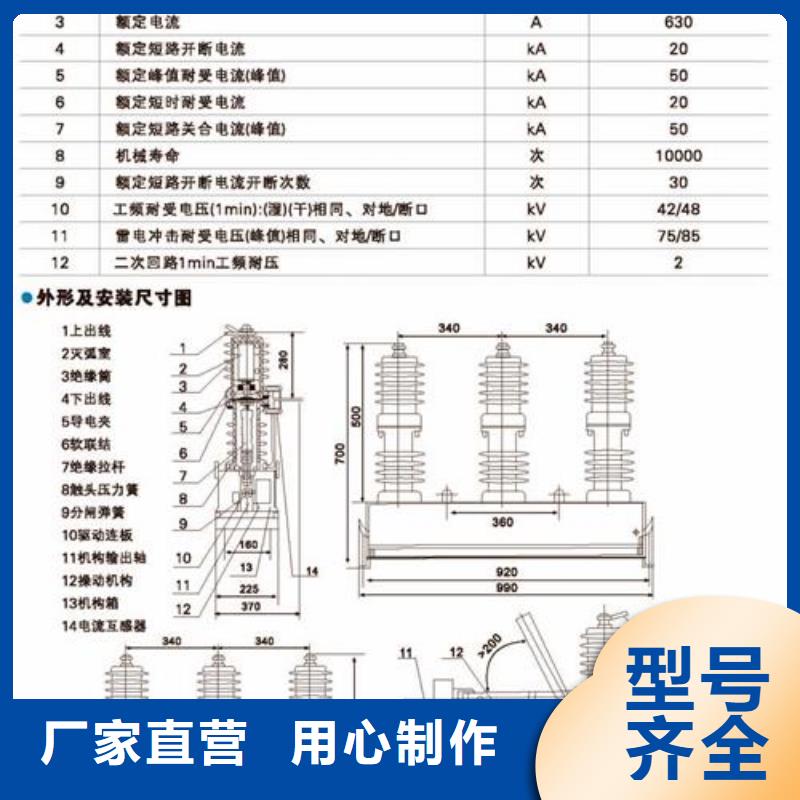 VS1-12固封式结构