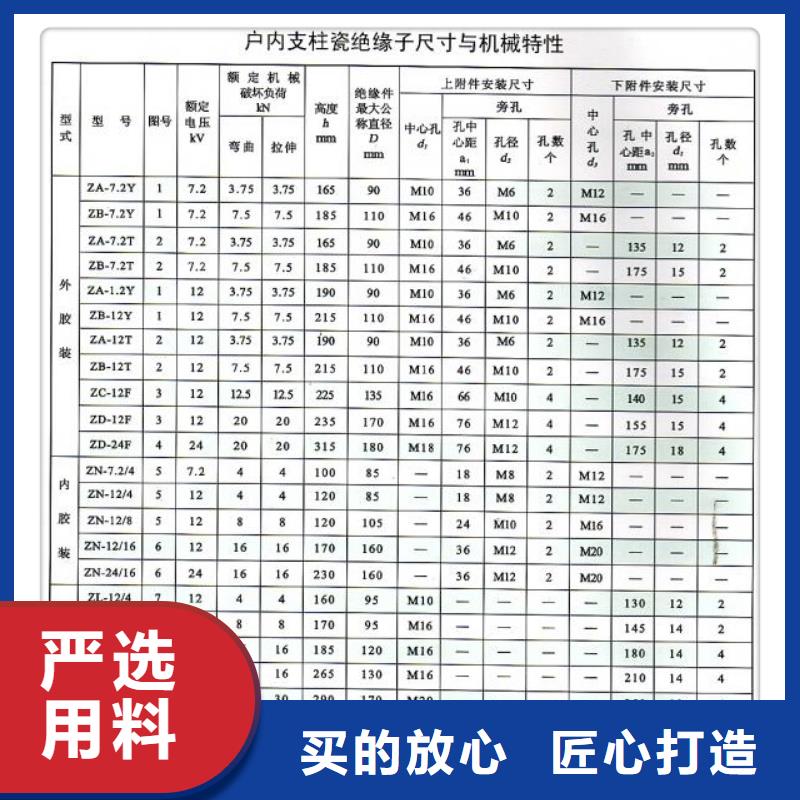 ZSW2-20/20绝缘子樊高电气