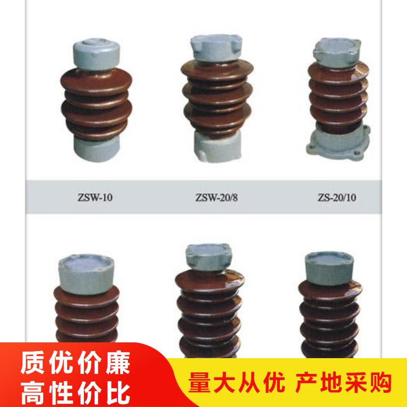 FZSW4-220/10复合绝缘子