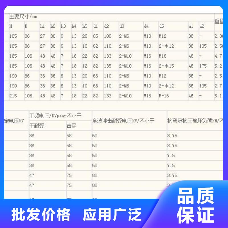 FXBW3-110/70硅胶绝缘子樊高