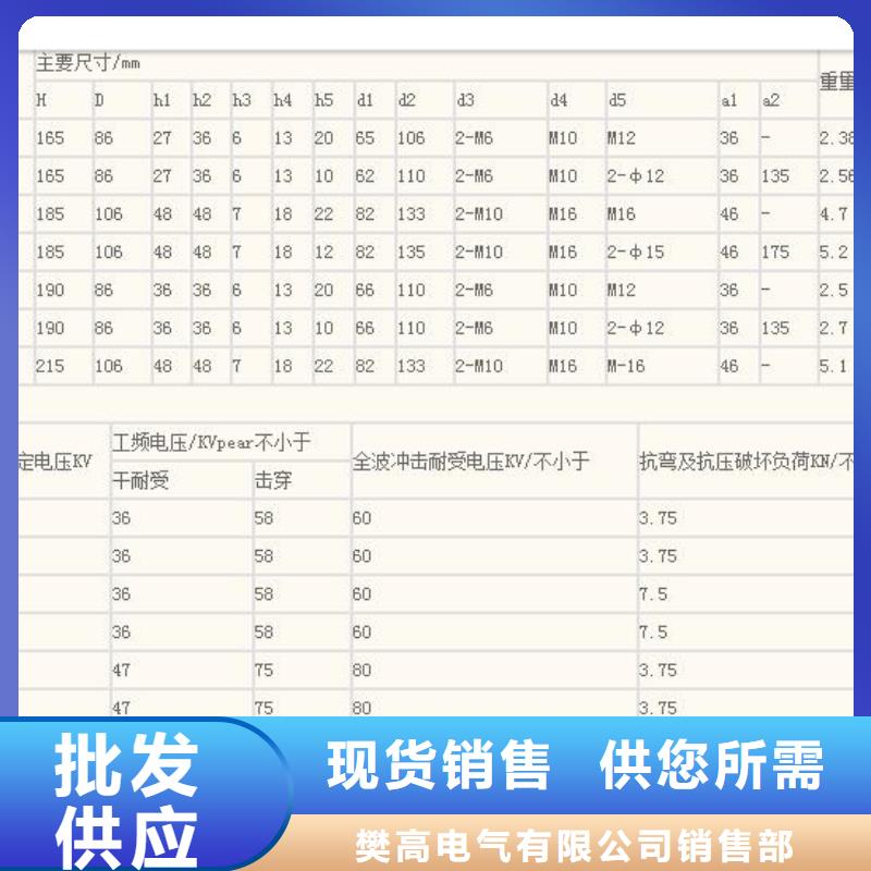 FXBW3-110/70硅胶绝缘子樊高