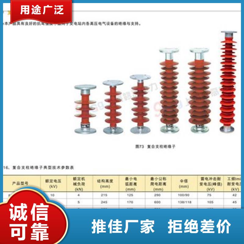 FXBW1-66/100绝缘子樊高