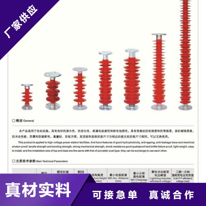 ZJ-35KV/130*380环氧树脂绝缘子