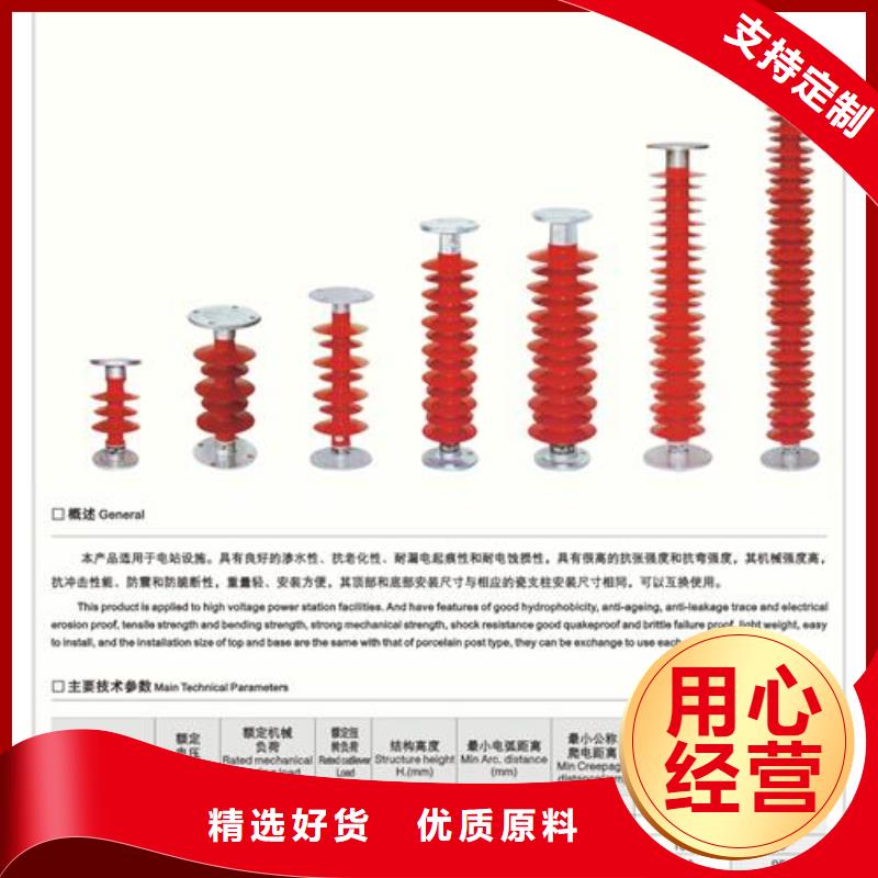 FXBW1-110/100棒型绝缘子