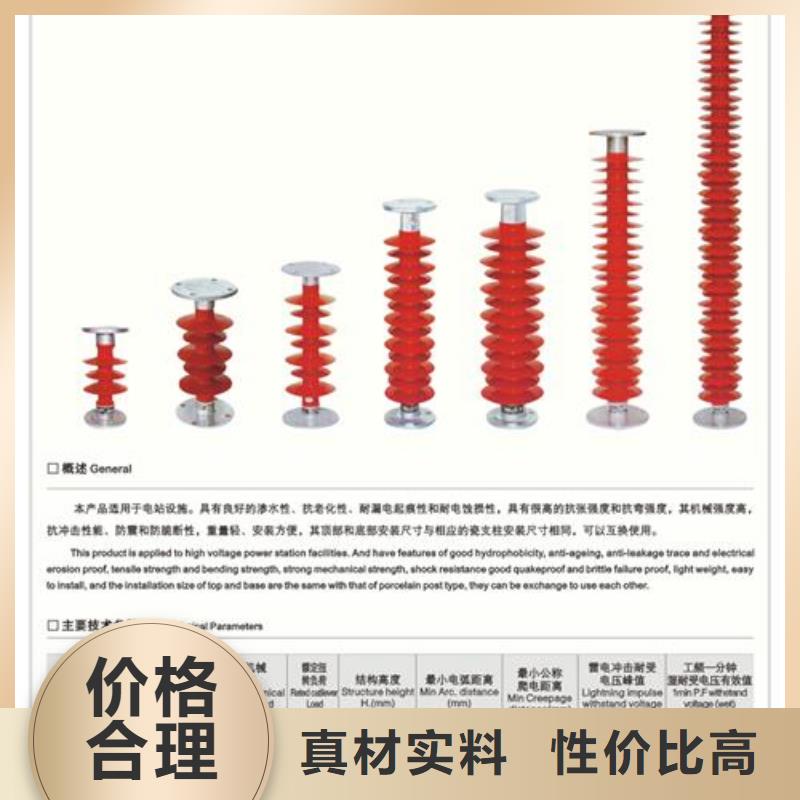 ZSW-20/4支柱绝缘子