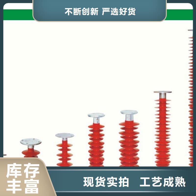 FZSW4-220/10复合绝缘子