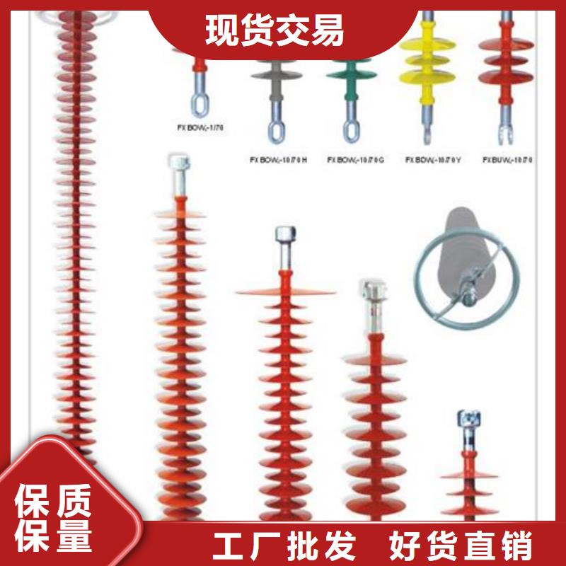 FXBW4-220/160硅胶绝缘子