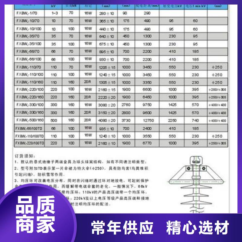 FXBW3-110/70硅胶绝缘子樊高