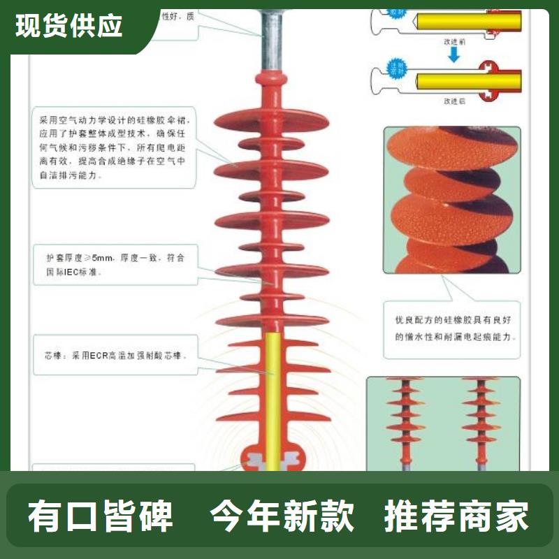 FXBW3-110/70硅胶绝缘子樊高