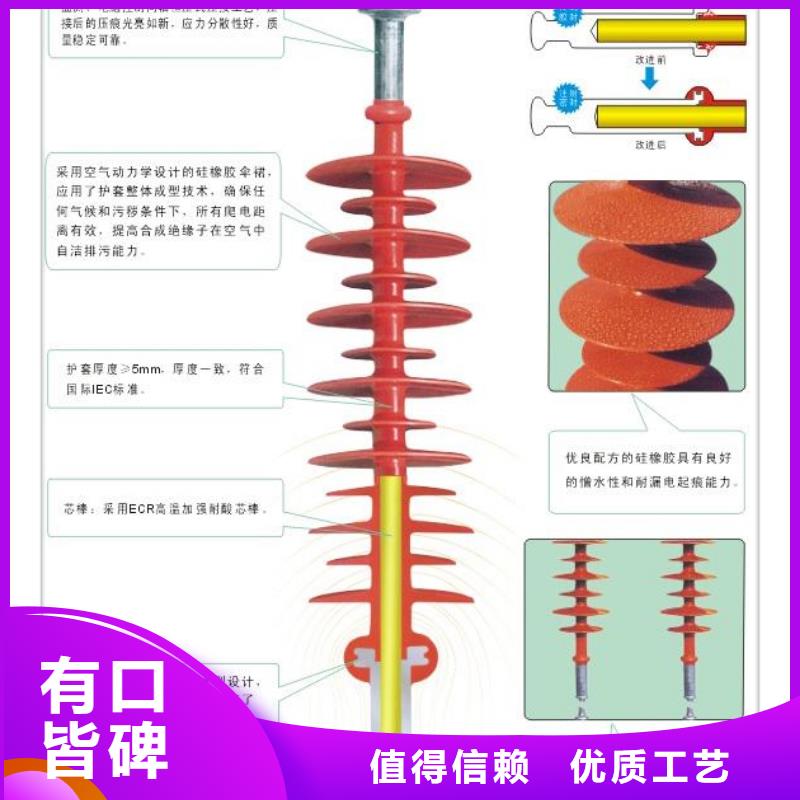 ZSW-220/850支柱绝缘子