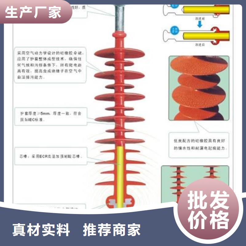 FZSW-110/16高压复合支柱绝缘子