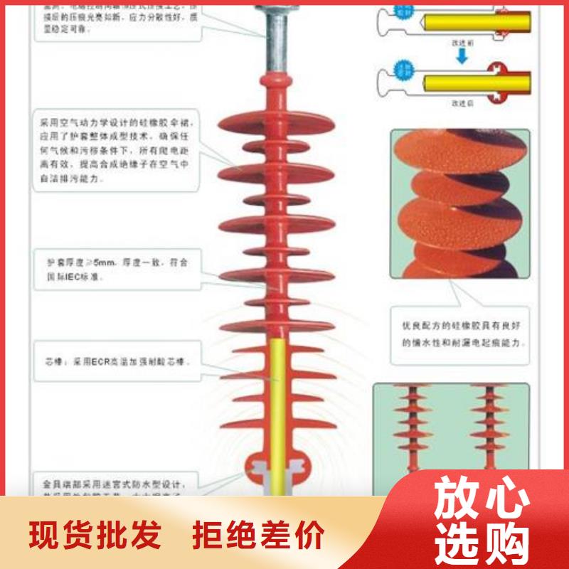 FZSW-110/16高压复合支柱绝缘子