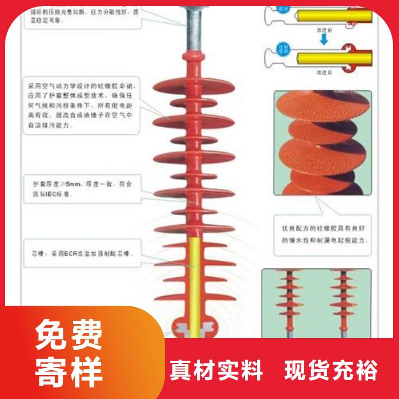 ZSW2-20/20绝缘子樊高电气