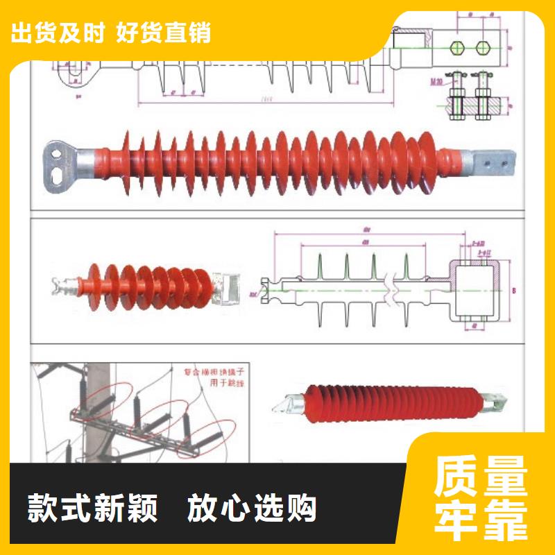 ZSW2-40.5/600高压绝缘子樊高电气