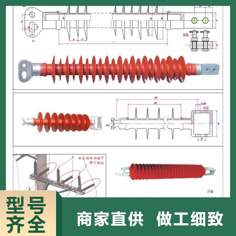 FXBW3-110/70硅胶绝缘子樊高