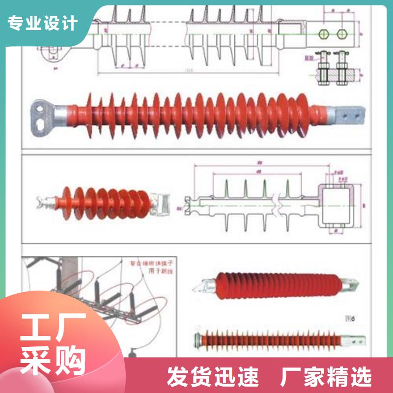 PSN-325/12.5ZS高压绝缘子