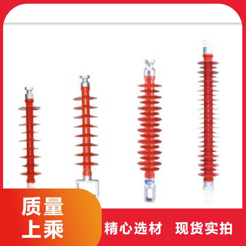 ZS-20/3000陶瓷绝缘子樊高电气