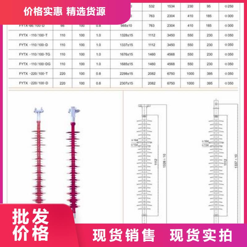 ZPB-10高压支柱绝缘子