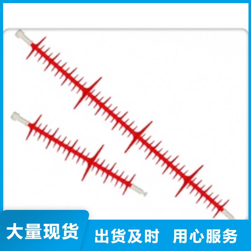 FZSW-110/16绝缘子樊高