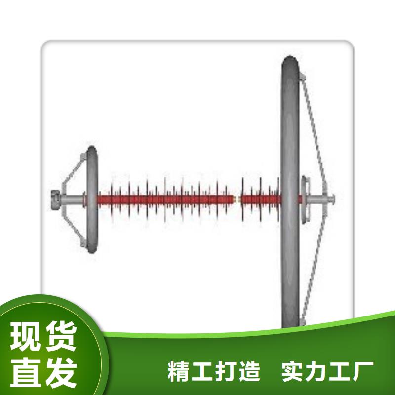 ZSW2-20/20绝缘子樊高电气