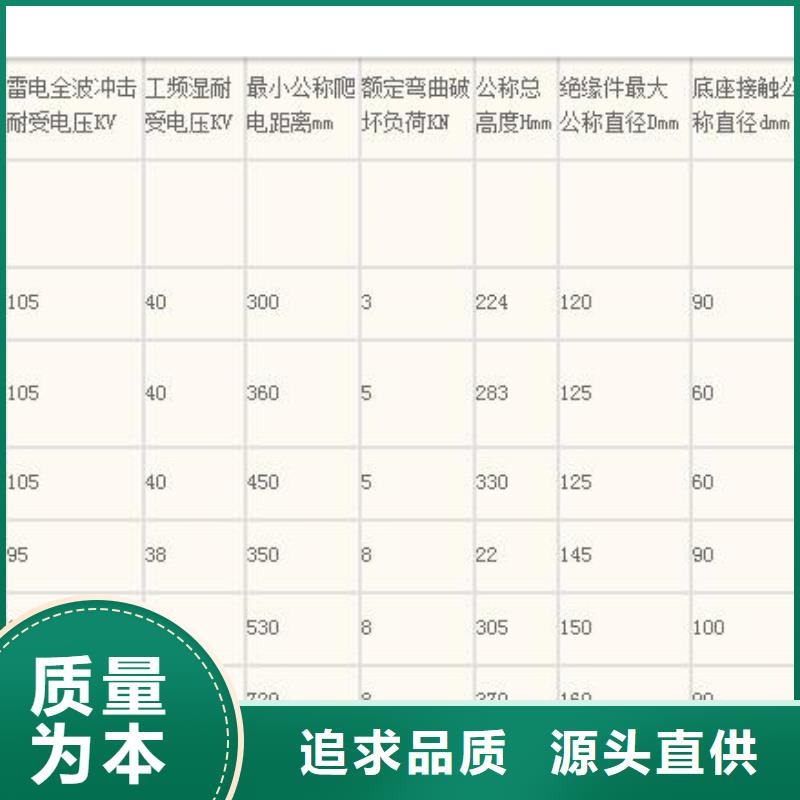 ZSW2-20/20陶瓷绝缘子