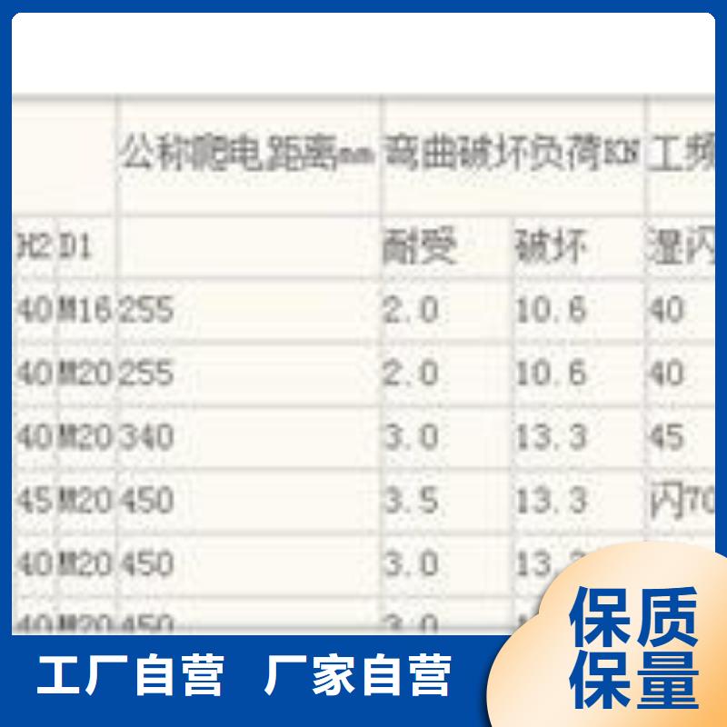 儋州市ZJ-10Q/70*130高压环氧树脂绝缘子