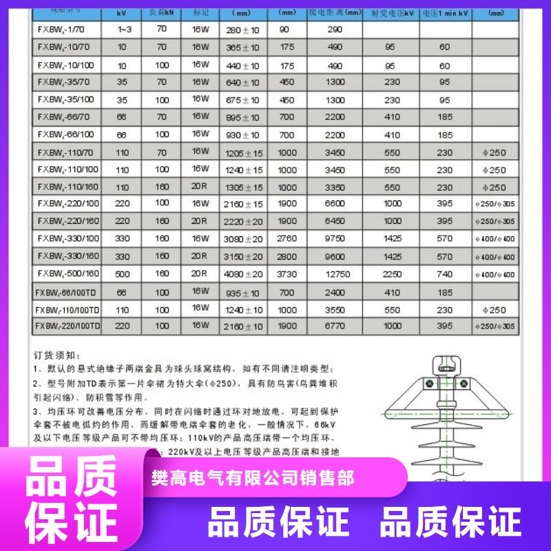 ZS-110/800户外高压绝缘子