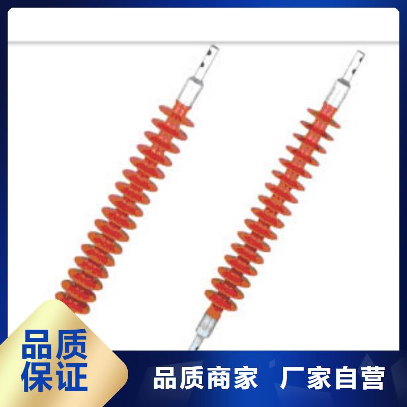 ZJ3-24Q/110*230高压绝缘子