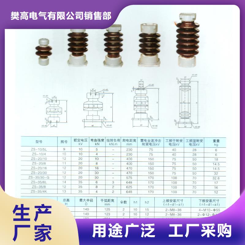 ZSW-110/6绝缘子樊高电气