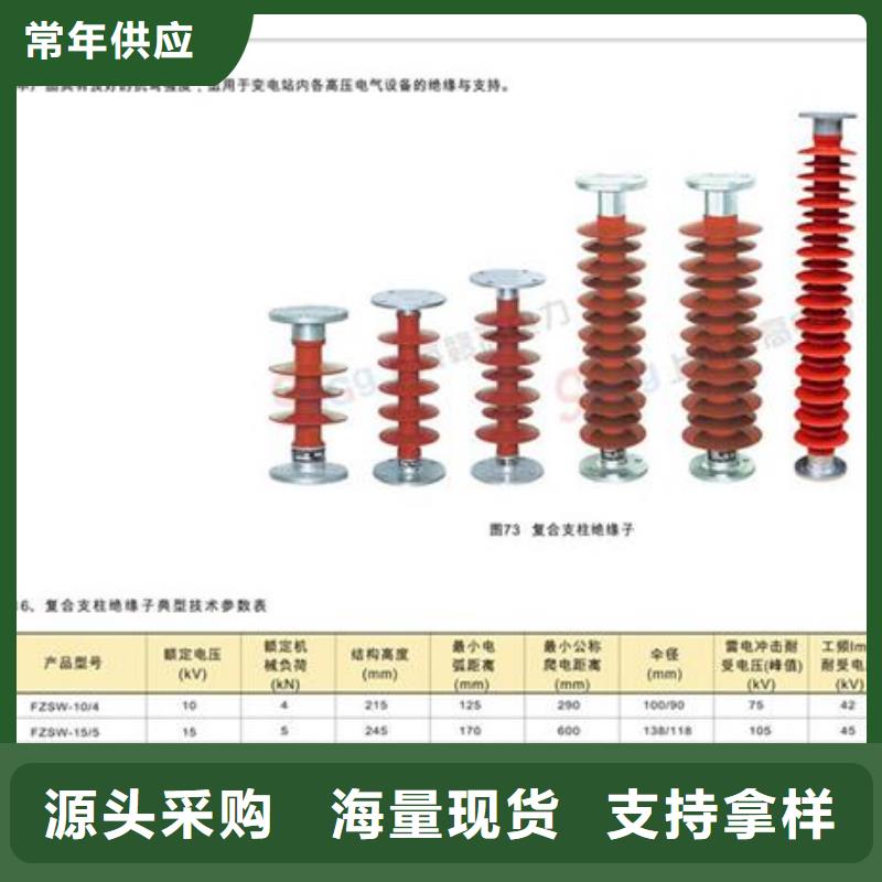 ZJ-35KV/120*320高压绝缘子