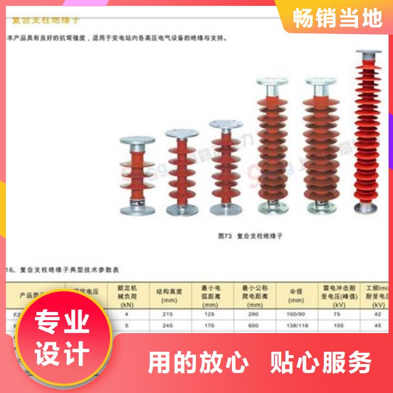 ZPB-10高压支柱绝缘子