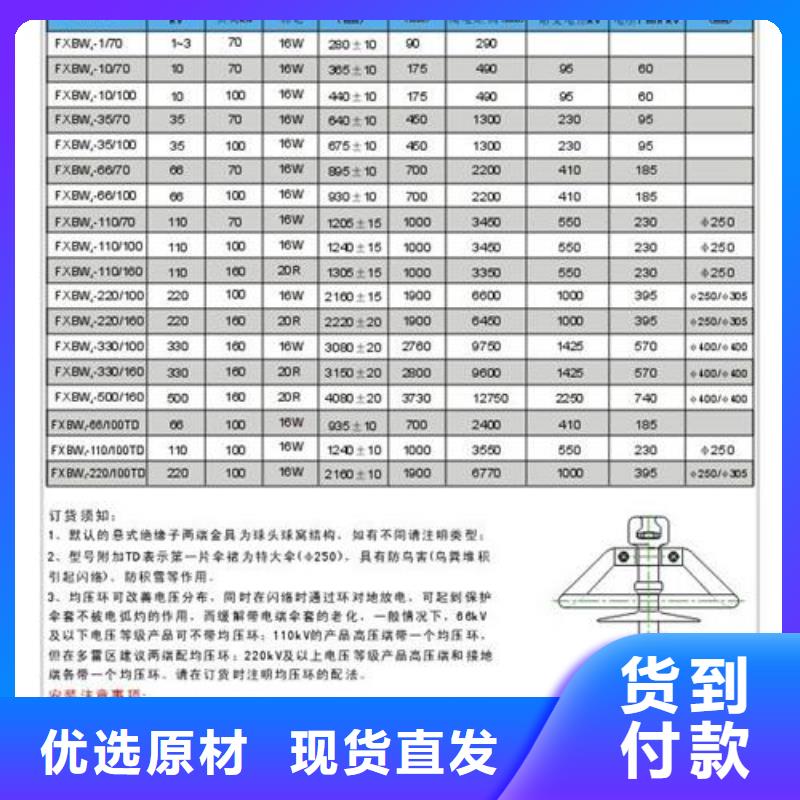 绝缘子氧化锌避雷器厂规格型号全