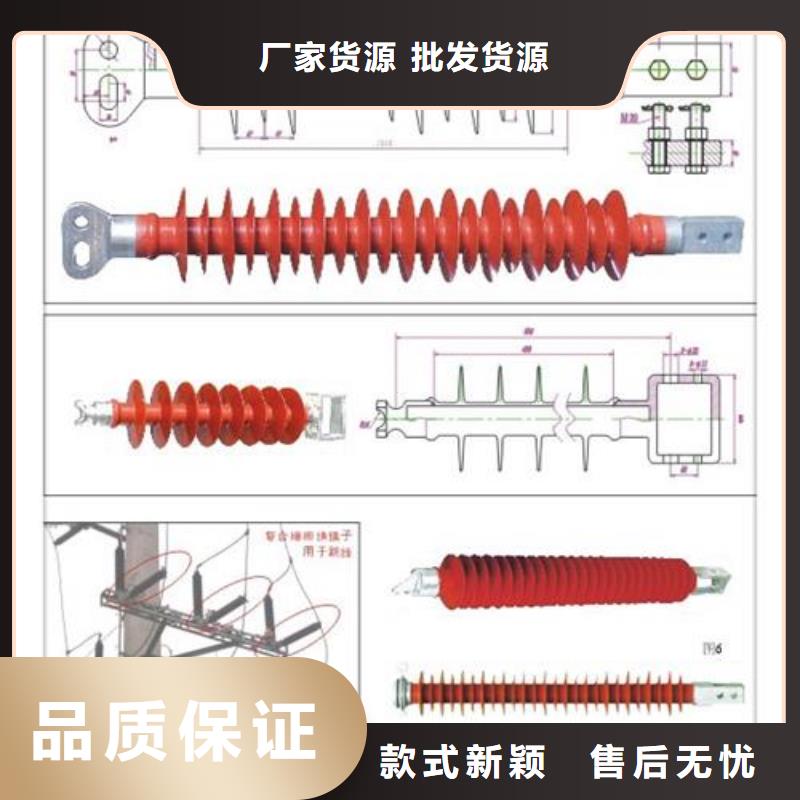 FZSW-35/6高压复合绝缘子