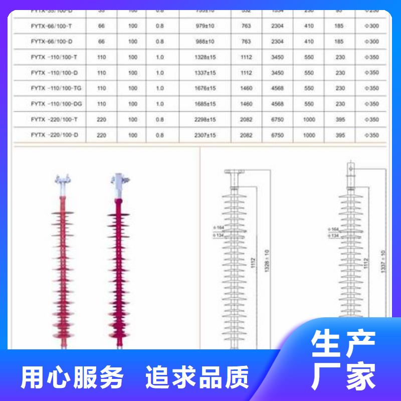 ZS-110/800户外高压绝缘子