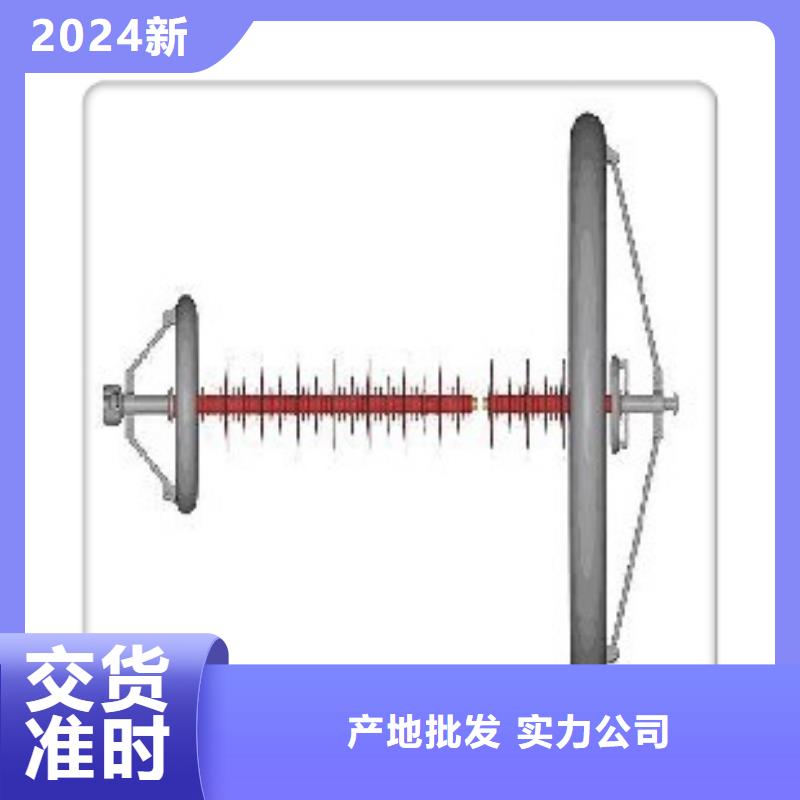 FXBW3-110/70硅胶绝缘子樊高