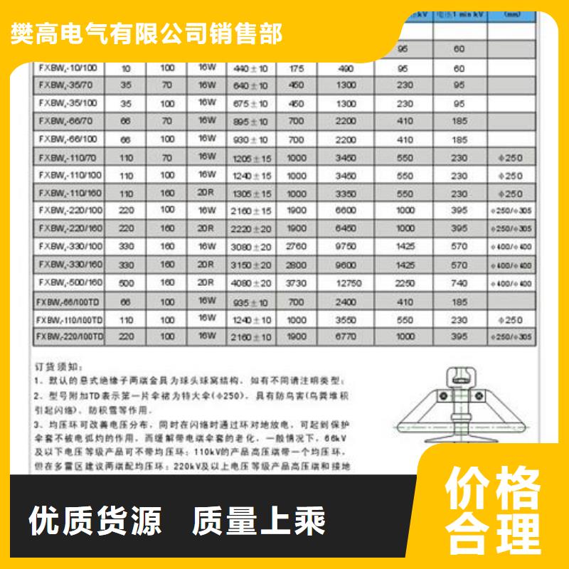 ZSW-110/800户外高压绝缘子