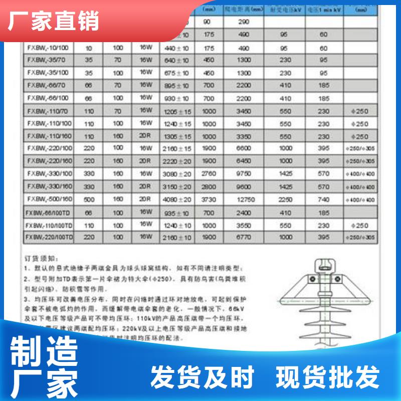 ZS-110/17支柱绝缘子