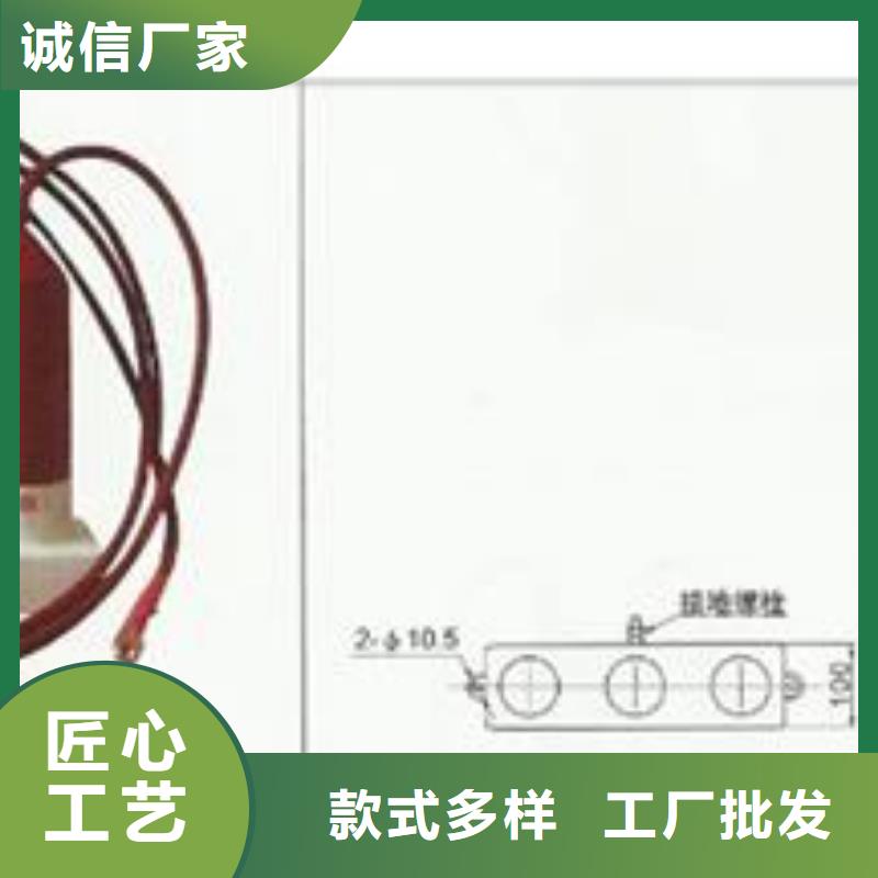 【过电压保护器真空断路器专业生产品质保证】