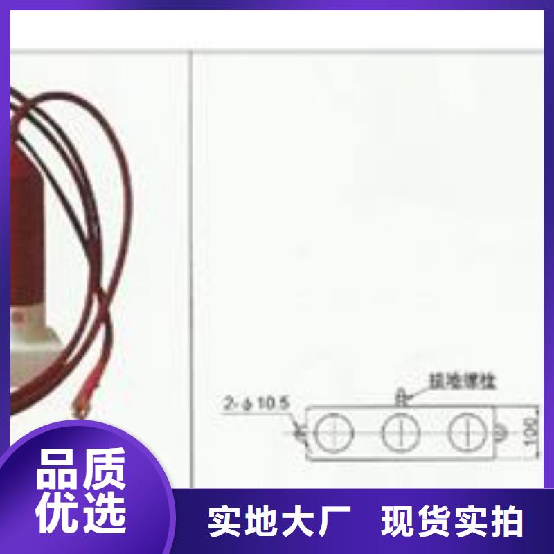 SCGB-B-12.7F/131中性点过电压保护器