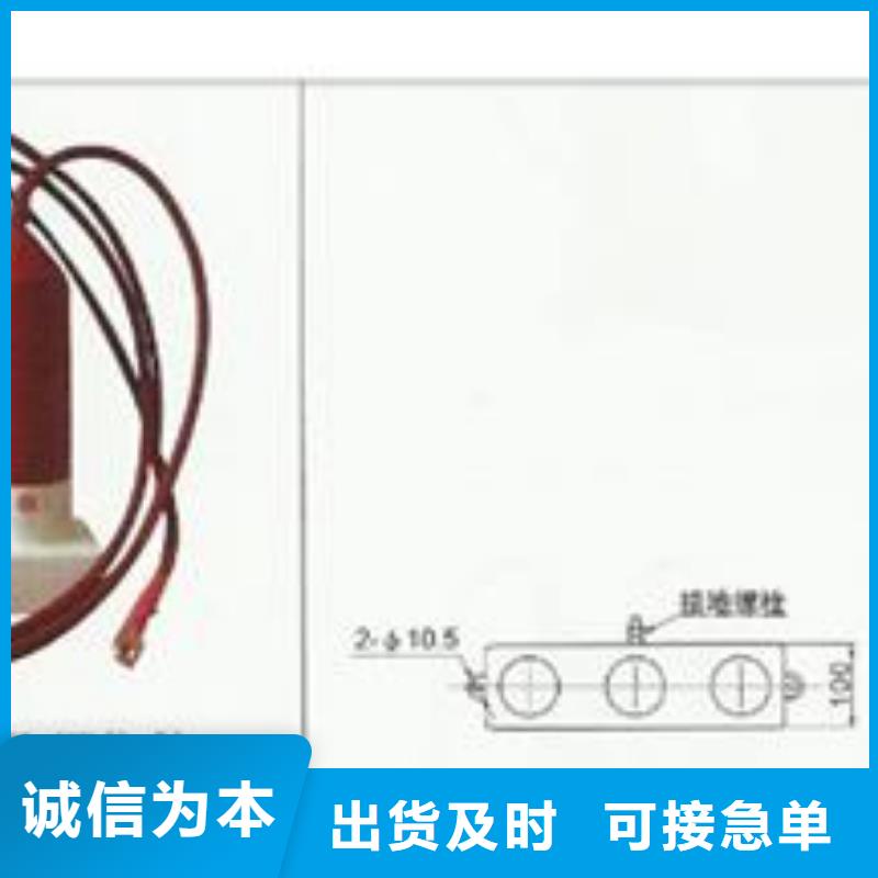 TBP-C-42F/310三相组合式过电压保护器樊高电气