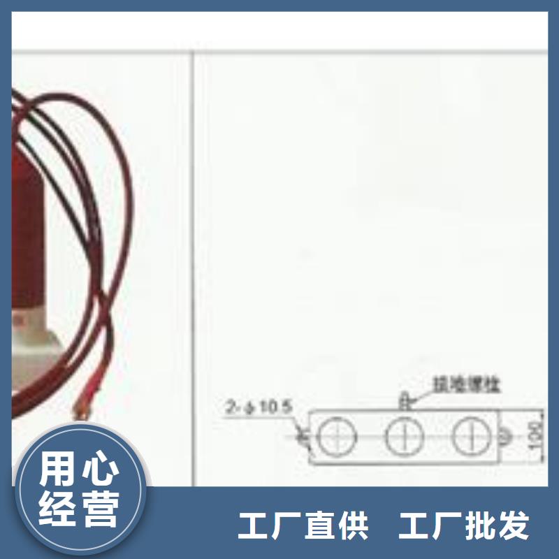 TBP-C-7.6/85F过电压保护器樊高电气