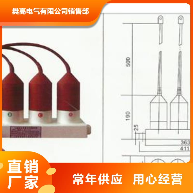 TBP-B-12.7F/280W2三相组合式氧化锌避雷器