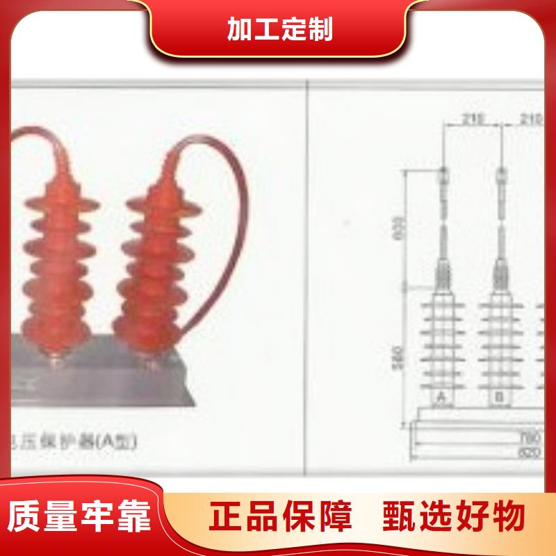 BSTG-C-6.3过电压保护器