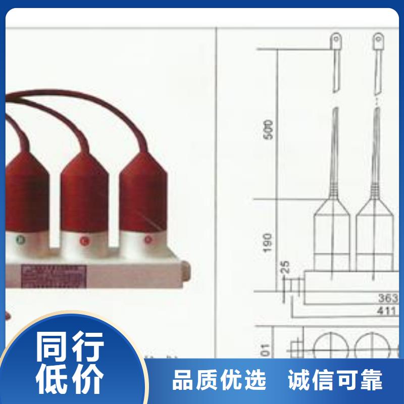 TBP-B-12.7/38过电压保护器樊高电气