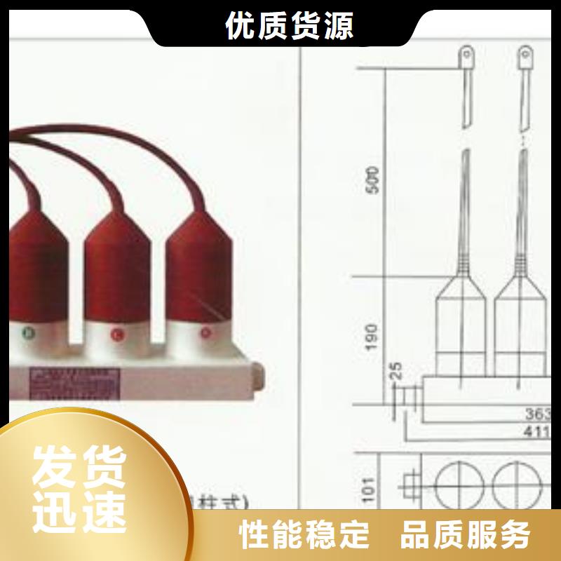 TBP-B-35/310三相组合式避雷器