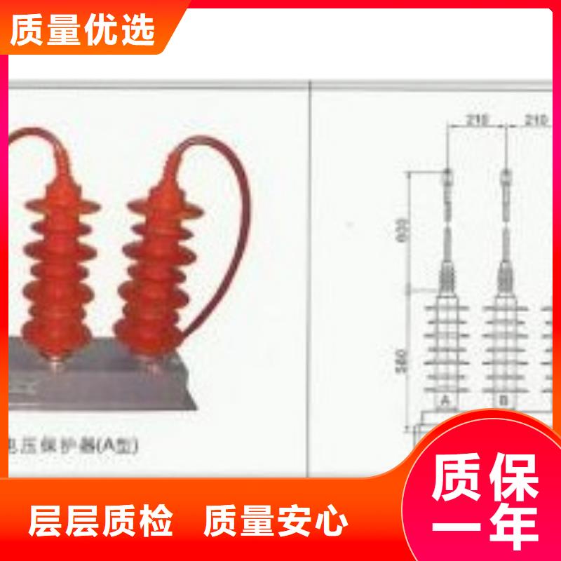 TBP-B-10组合式保护器