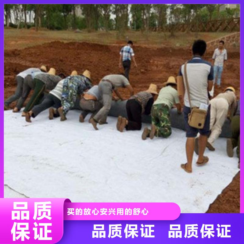 【膨润土防水毯塑料土工格栅商家直供】