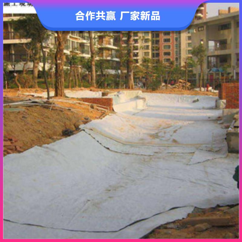 膨润土防水毯塑料土工格栅的简单介绍