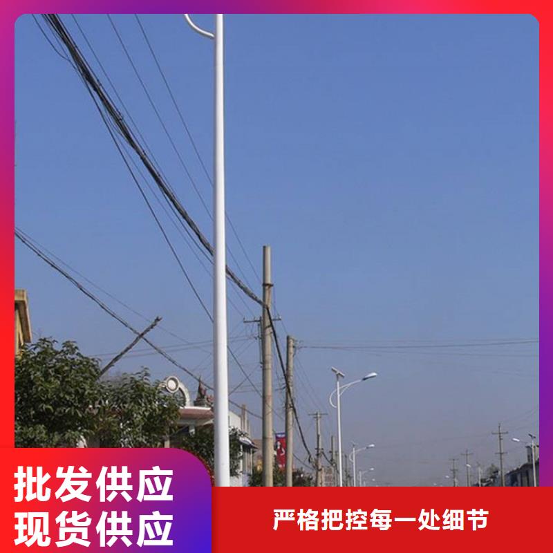 太阳能市电路灯交货准时